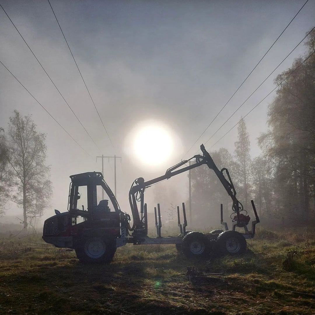 Spårlöst i skogen efter att DMO Skog & Mark gjort jobbet. Skonsam gallring i Borlänge – Skogsvård för framtiden