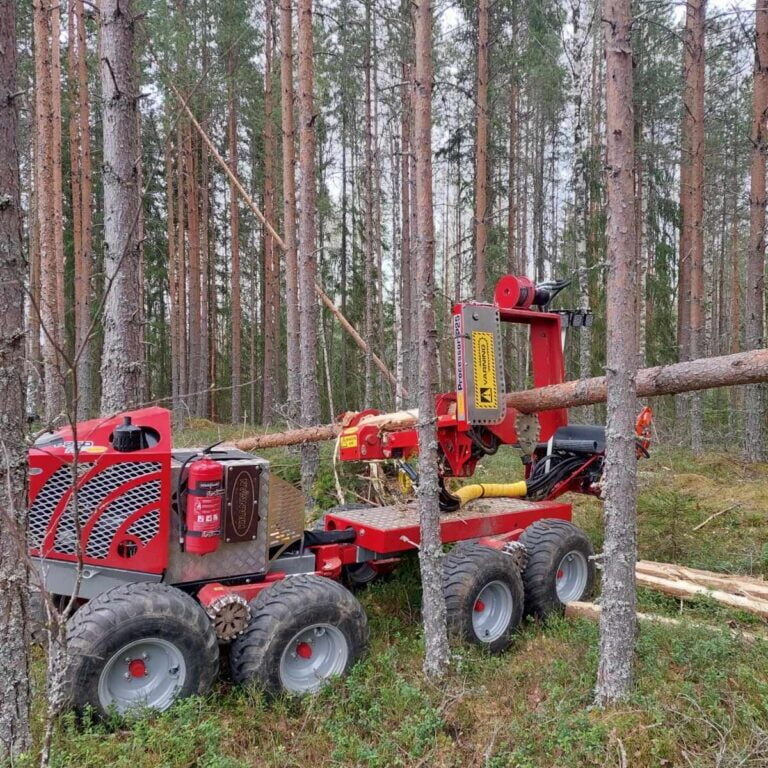 P25 i skog Gallring i Gagnef, Borlänge, Falun, Leksand och övriga Dalarna