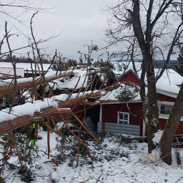 johannes Ett dygn som vände allt. Om stormen Johannes, byns kraftsamling och hur små entreprenörer gör skillnad när krisen slår till.