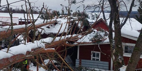 Ett dygn som vände allt. Om stormen Johannes, byns kraftsamling och hur små entreprenörer gör skillnad när krisen slår till.